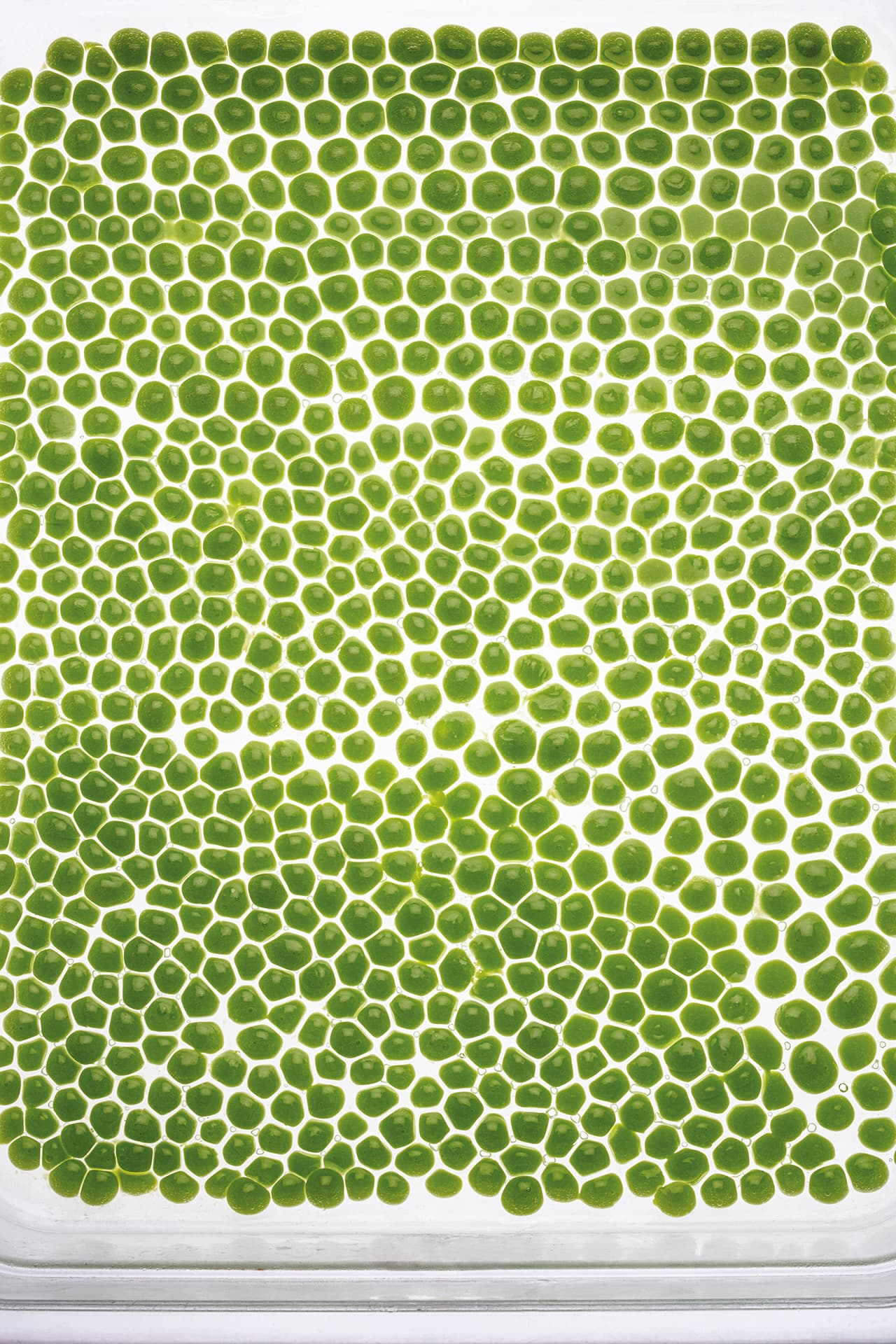 Disfrutar Restaurant